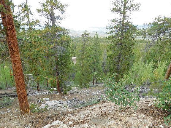 5th image of 465 Mount Elbert Dr
