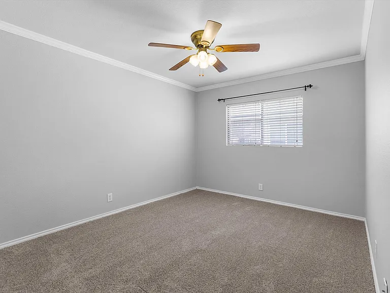 143 Blue Juniper — Photo 16