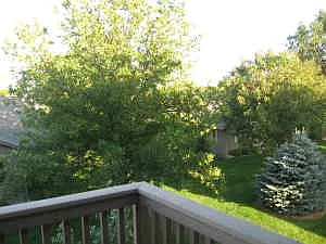 3 bed, 1690 sqft, $1,995 — Photo 4