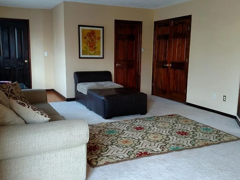 Downstairs living room ( different furniture now) - New phot