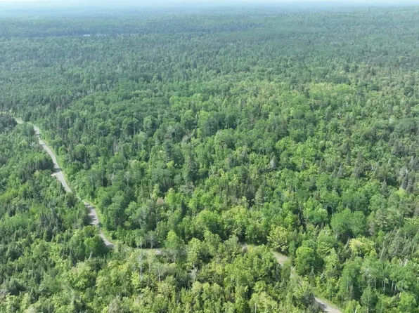 Esther Lake Rd, Hovland, MN 55606