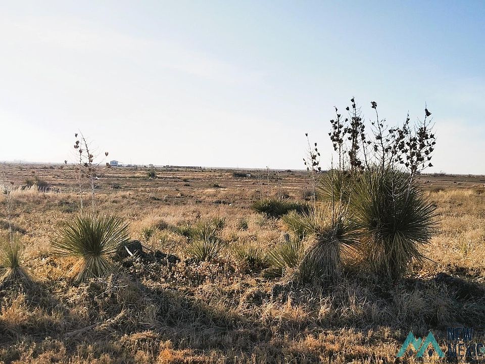 1st image of Jewel St