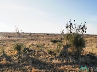 Jewel St, Dexter, NM 88230