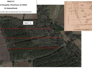 TRACT Fountain Young Rd #A, Pine Grove, LA 70453