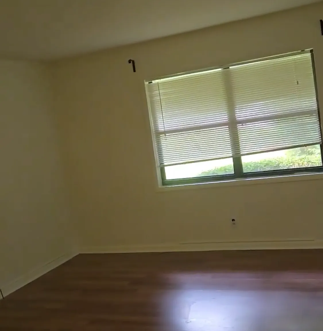 2 bed, 1300 sqft, $1,800 — Photo 3