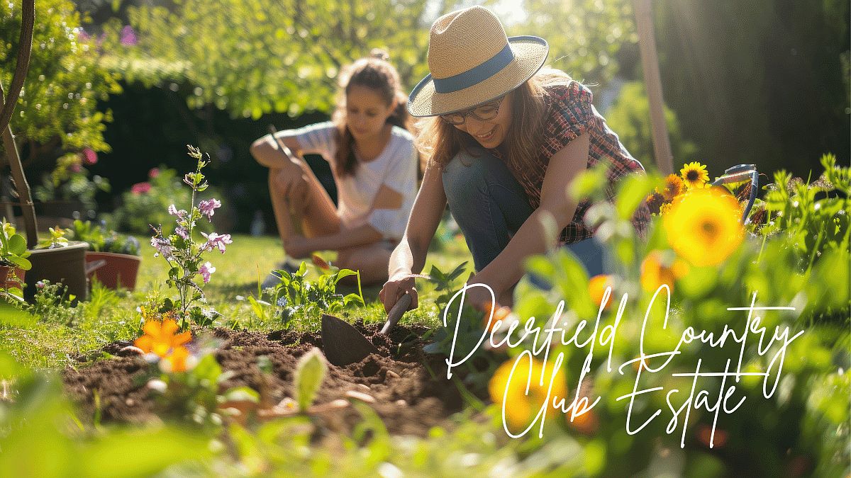 Deerfield Clubhouse Estates by D.R. Horton Jackson in Canton MS Zillow