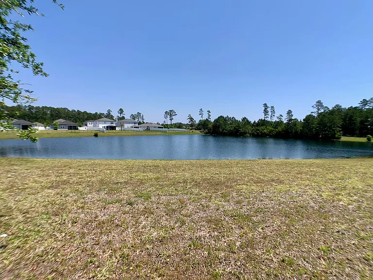 1499 Tropical Pine Cv — Photo 44