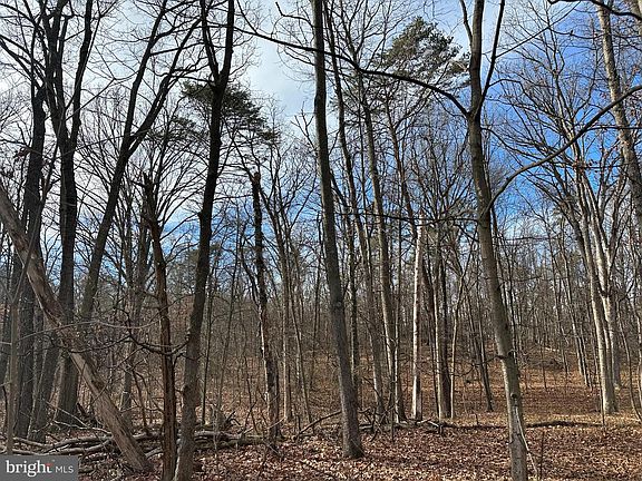 5th image of Nestle Quarry