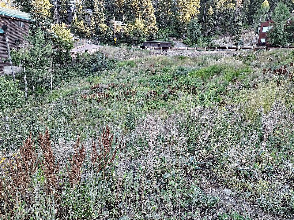 2nd image of 229 Parkview Dr