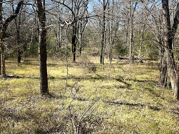 2nd image of State Highway 154