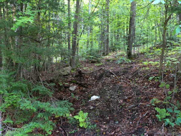 00 Hillcrest Road, Andover, VT 05143