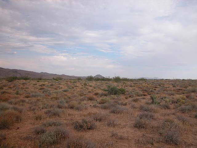 1st image of Ivy Dr