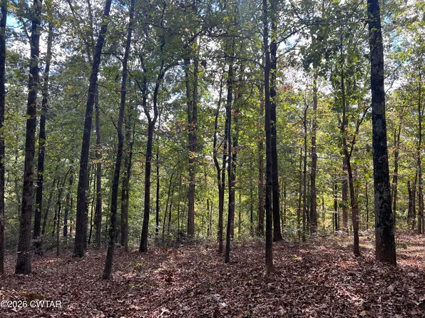4600 Silerton Rd, Henderson, TN 38340