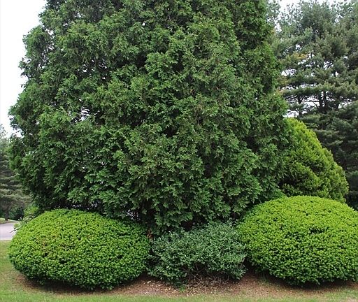 4th image of 904 Edgebrook Dr #904