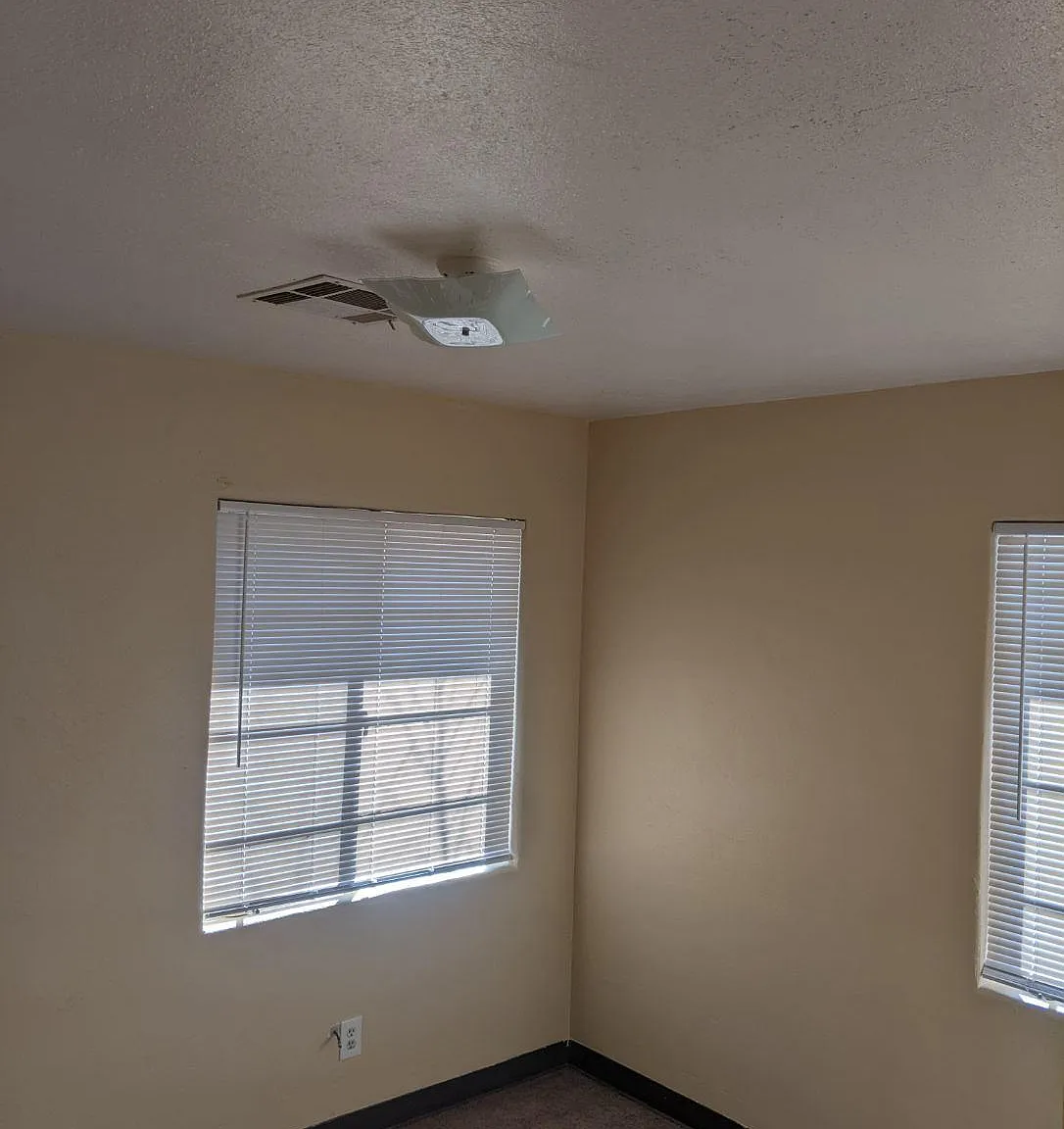 1 bed, 585 sqft, $1,000 — Photo 3