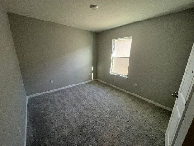3176 Living Coral Dr — Photo 40