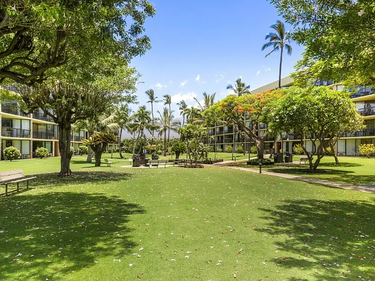 1032 S Kihei Rd #ID1035941P — Photo 33