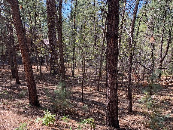 3rd image of 1750 E Gobbler Peak Ln