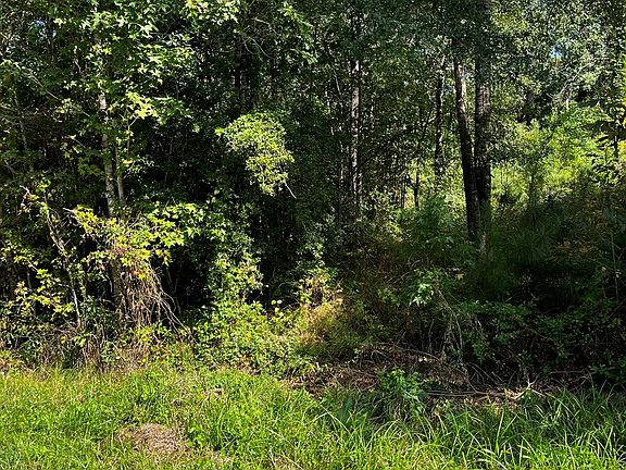 5th image of 106 Indian Creek Cir