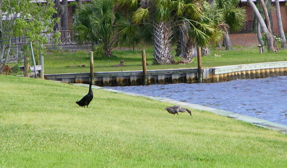 101 Old Ferry Rd Shalimar FL Zillow