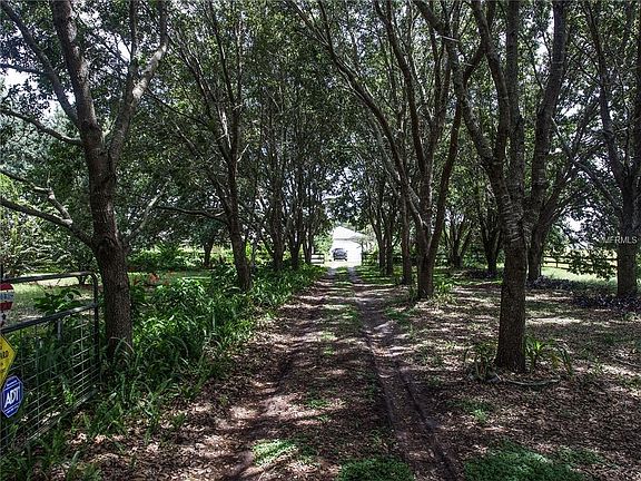 2nd image of 20712 County Road 33