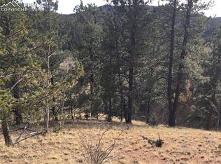 98 Spur Rd, Divide, CO 80814