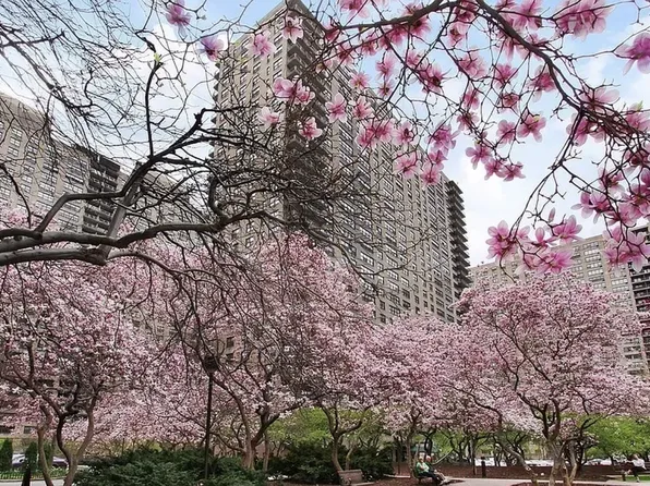 185 West End Avenue image 16 of 19