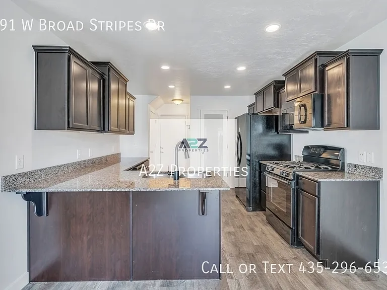 691 W Broad Stripes Dr — Photo 7