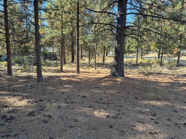 3 Brown Ct Lot 46, Weed, CA 96094