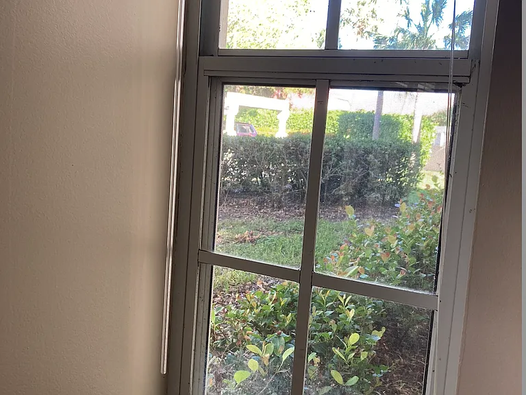 Orchid Bay Dr — Photo 21