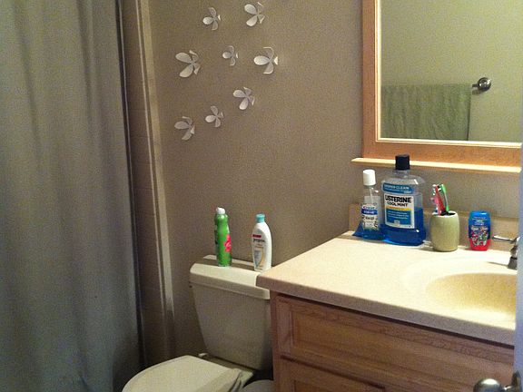 main bath upstairs