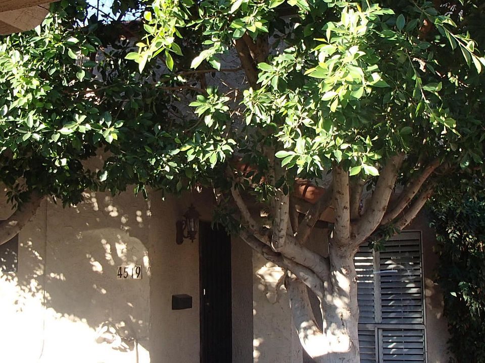 1st image of 4519 E Rhonda Dr