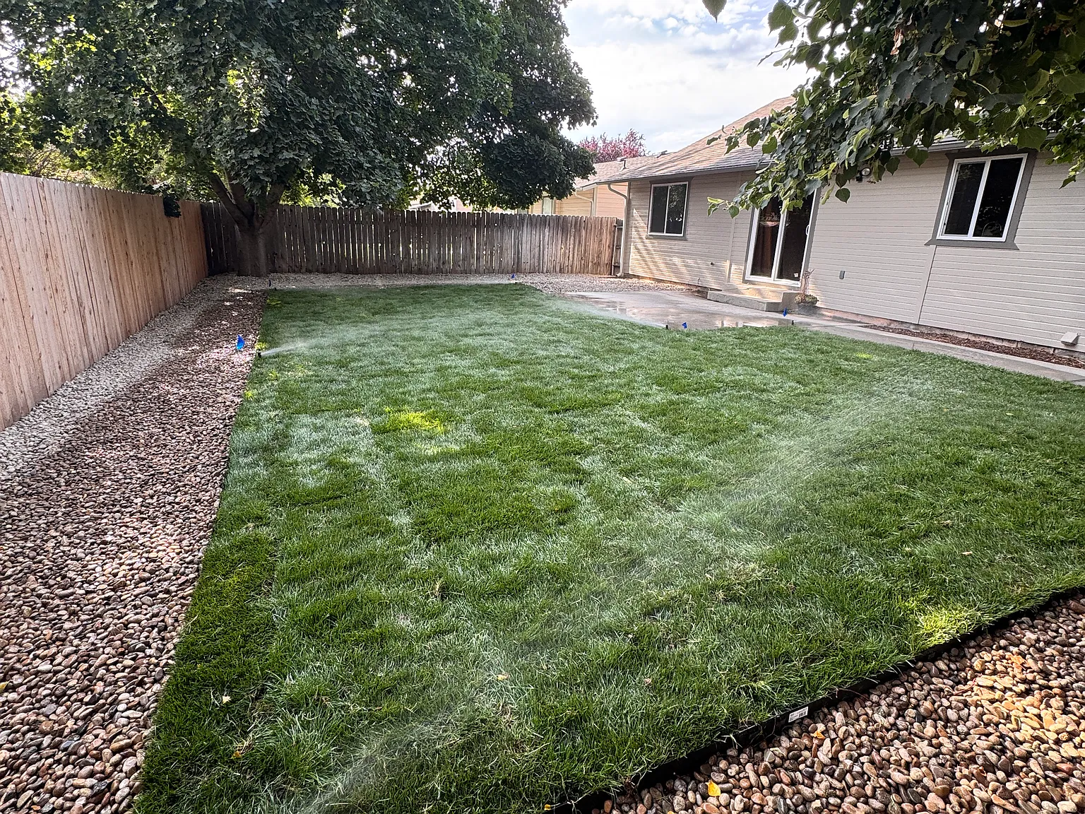 3 bed, 1508 sqft, $2,500 — Photo 4