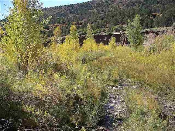 3rd image of 7625 County Road 105