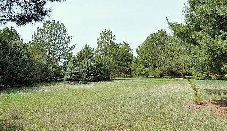 2nd image of 10400 W Lake Hazel Rd