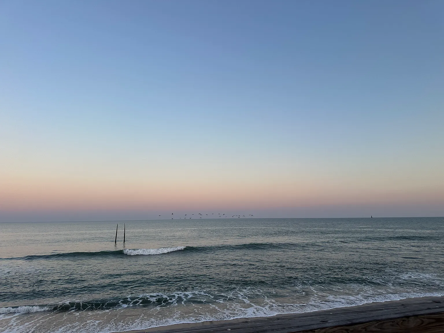 Pelican Watch — Photo 3