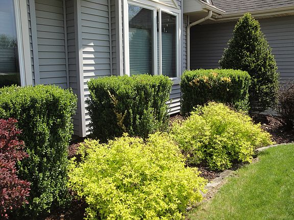 4th image of 725 Fairchild Dr