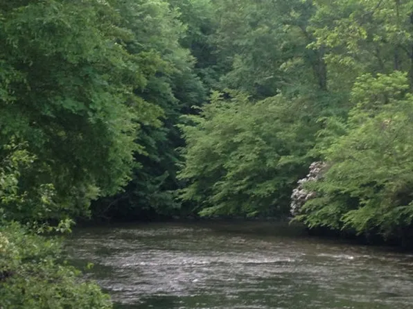 Wells Rd, Marble, NC 28905