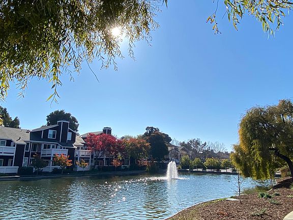 small lake in the gated community
