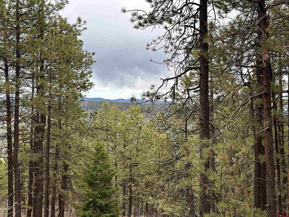 1st image of 281,299,317 Pineway Drive