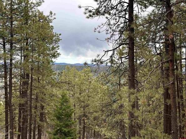 281,299,317 Pineway Drive, Bayfield, CO 81122