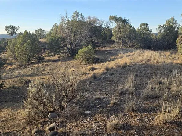 TBD County Road 329, Ignacio, CO 81137