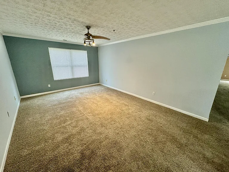 11101 Waldrop Pl — Photo 12