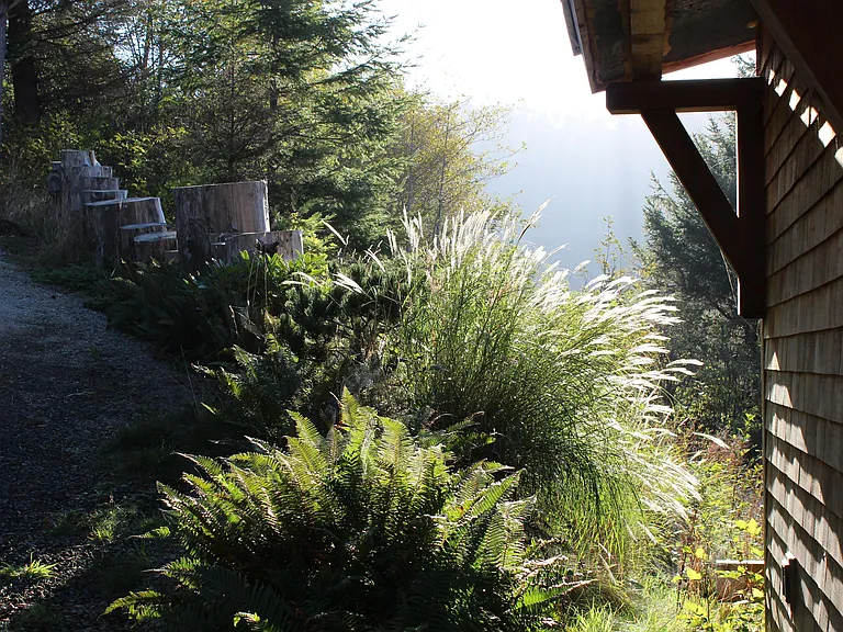Morning light is incredible here