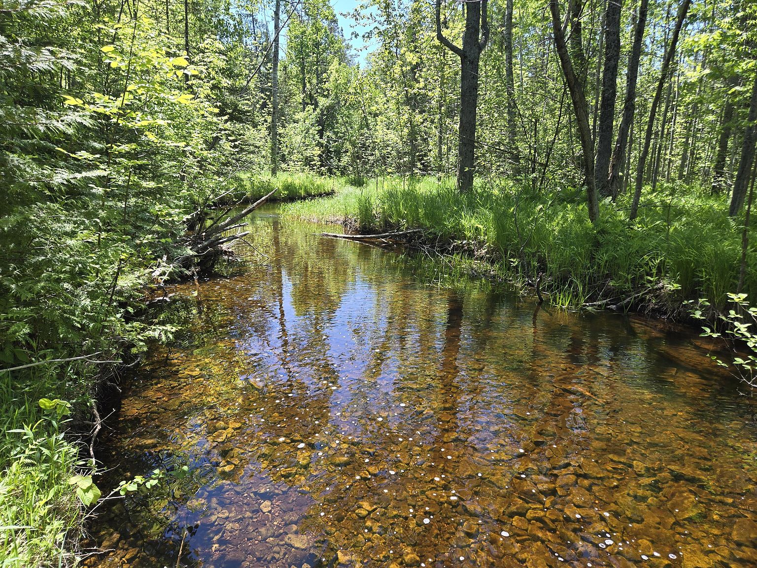 11253 Clinton Creek Rd, Posen, MI 49776 MLS 24027659 Zillow