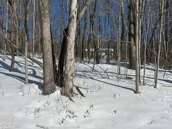 131 Huntersfield Rd, Prattsville, NY 12468