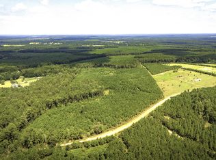 Stutts Hill Rd LOT 1, Livingston, TX 77351