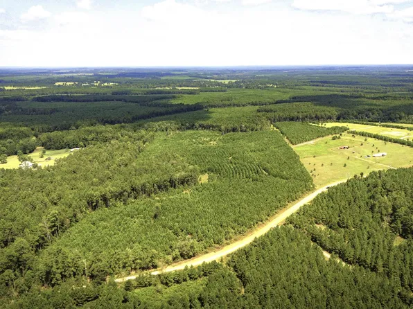 Stutts Hill Rd Lot 1, Livingston, TX 77351