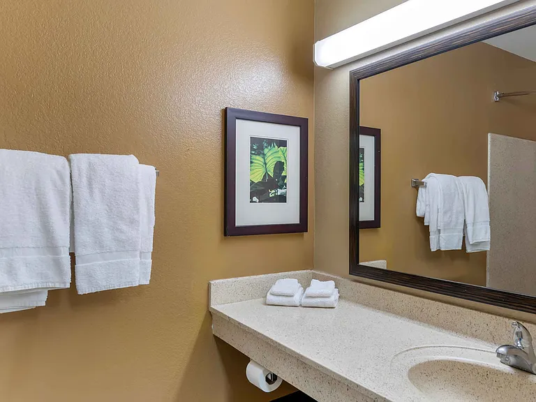 Studio Suite - 2 Full Beds