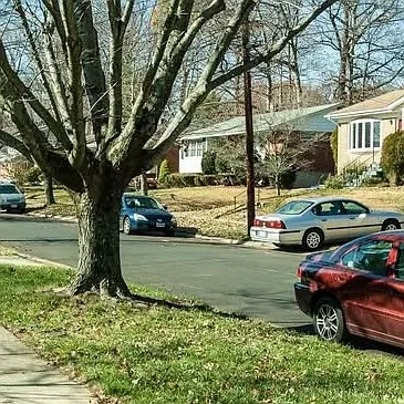 900 Malta Ln — Photo 8